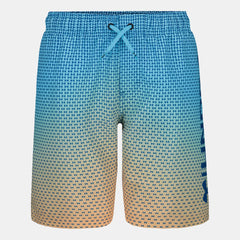 UA Gradient Logo Volley Boys' Volley Shorts