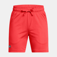 UA Icon Mesh Boys' Shorts