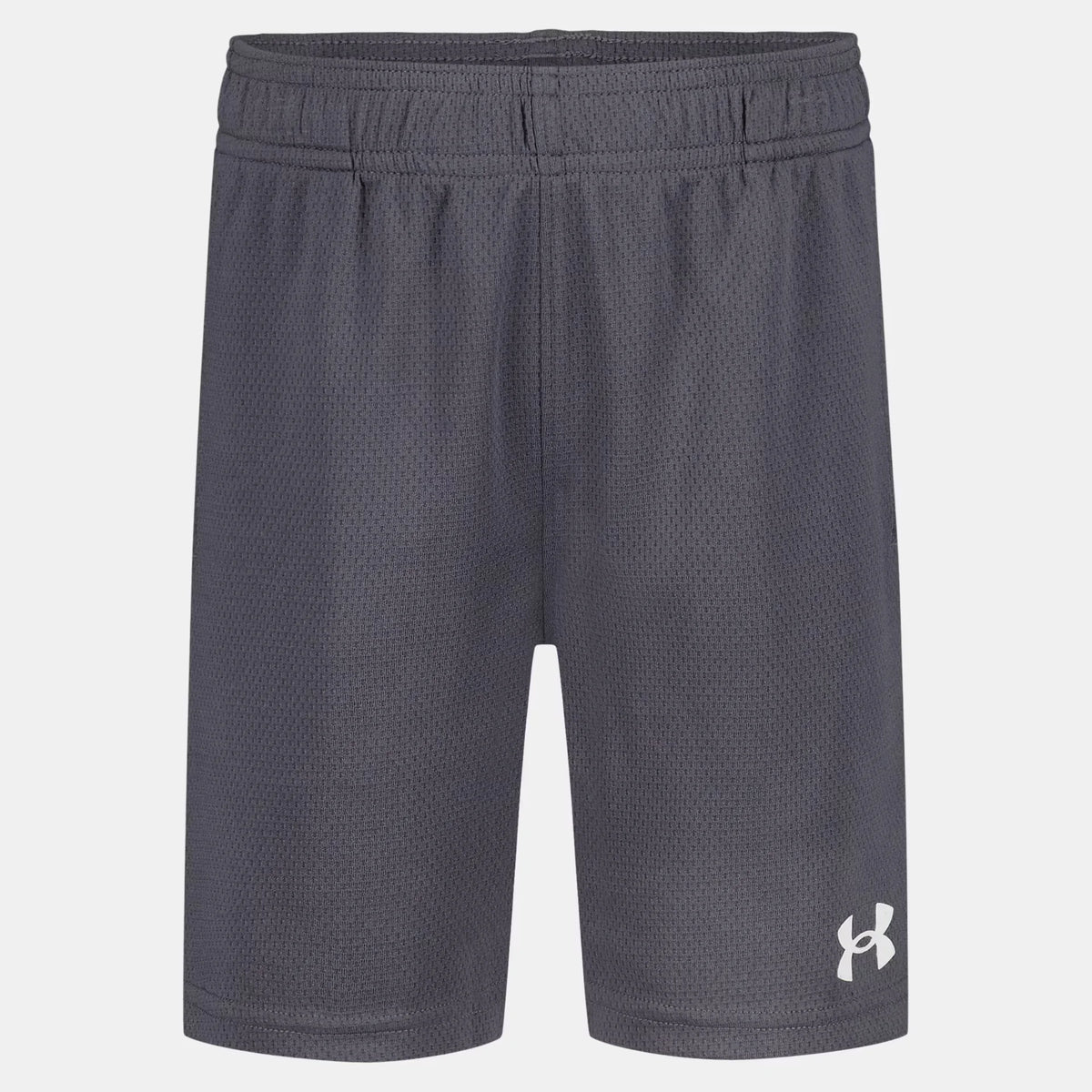 UA Tech™ Wordmark Toddler Boys' Shorts